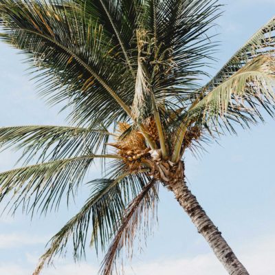 Don’t Be the devil’s Prophet – submitted by         Brenda Castle