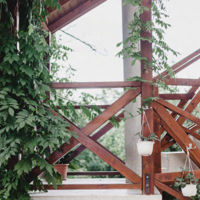 Bloom where you are: submitted by Rebecca Goodell