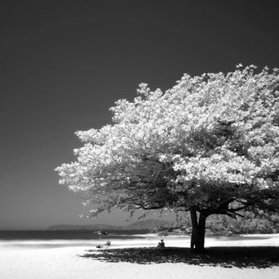 Man’s Best Friend – submitted by Rebecca Goodell