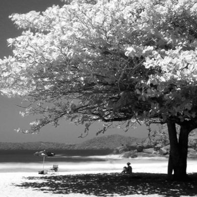 Courage Does Not Always Roar – submitted by Brenda Castle