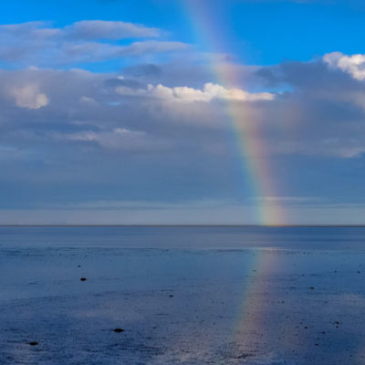 Arise : submitted by Brenda Castle